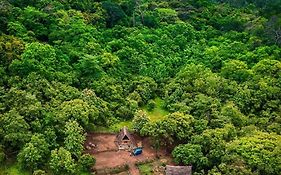 The Forest Edge Resort
